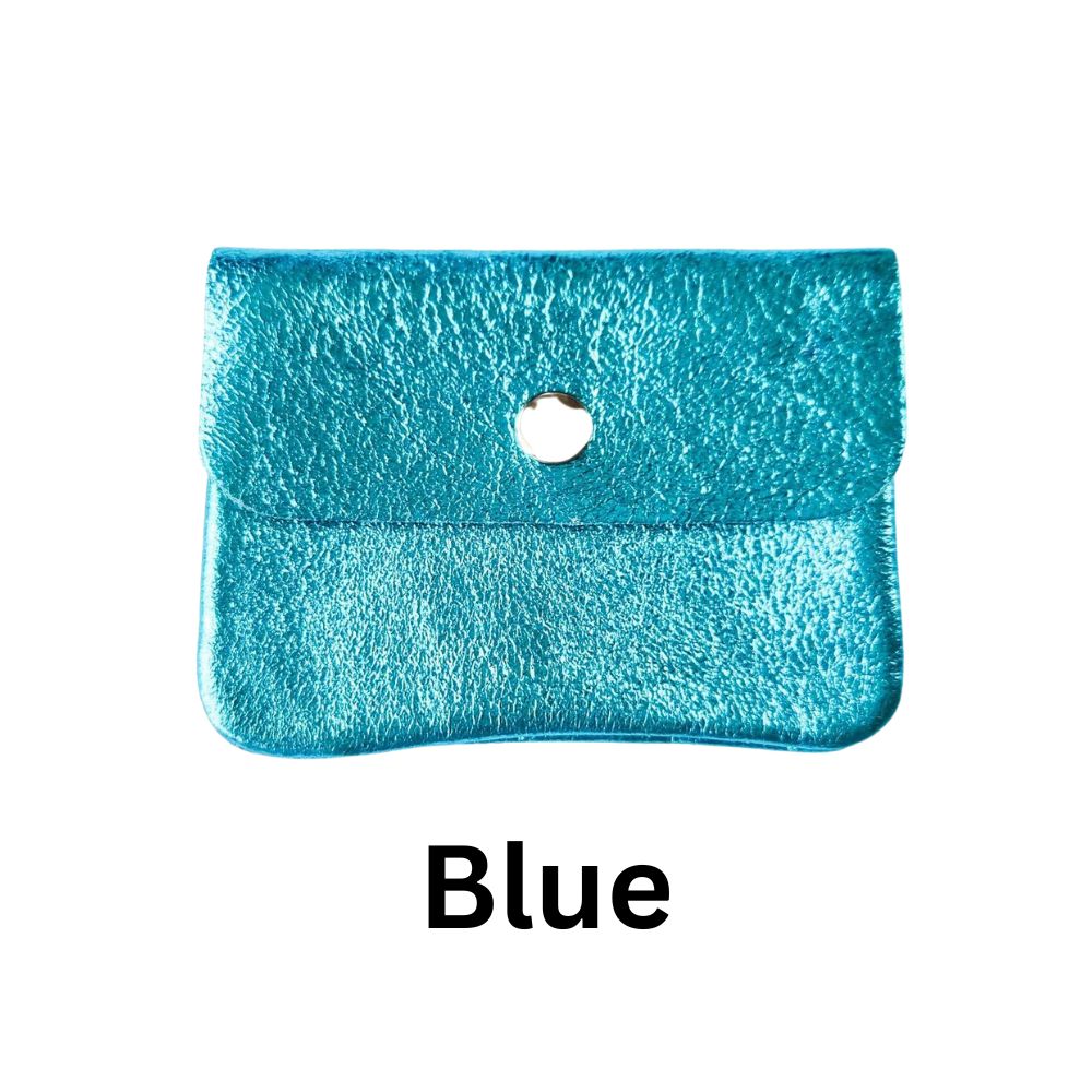 Small Metallic Leather Purse