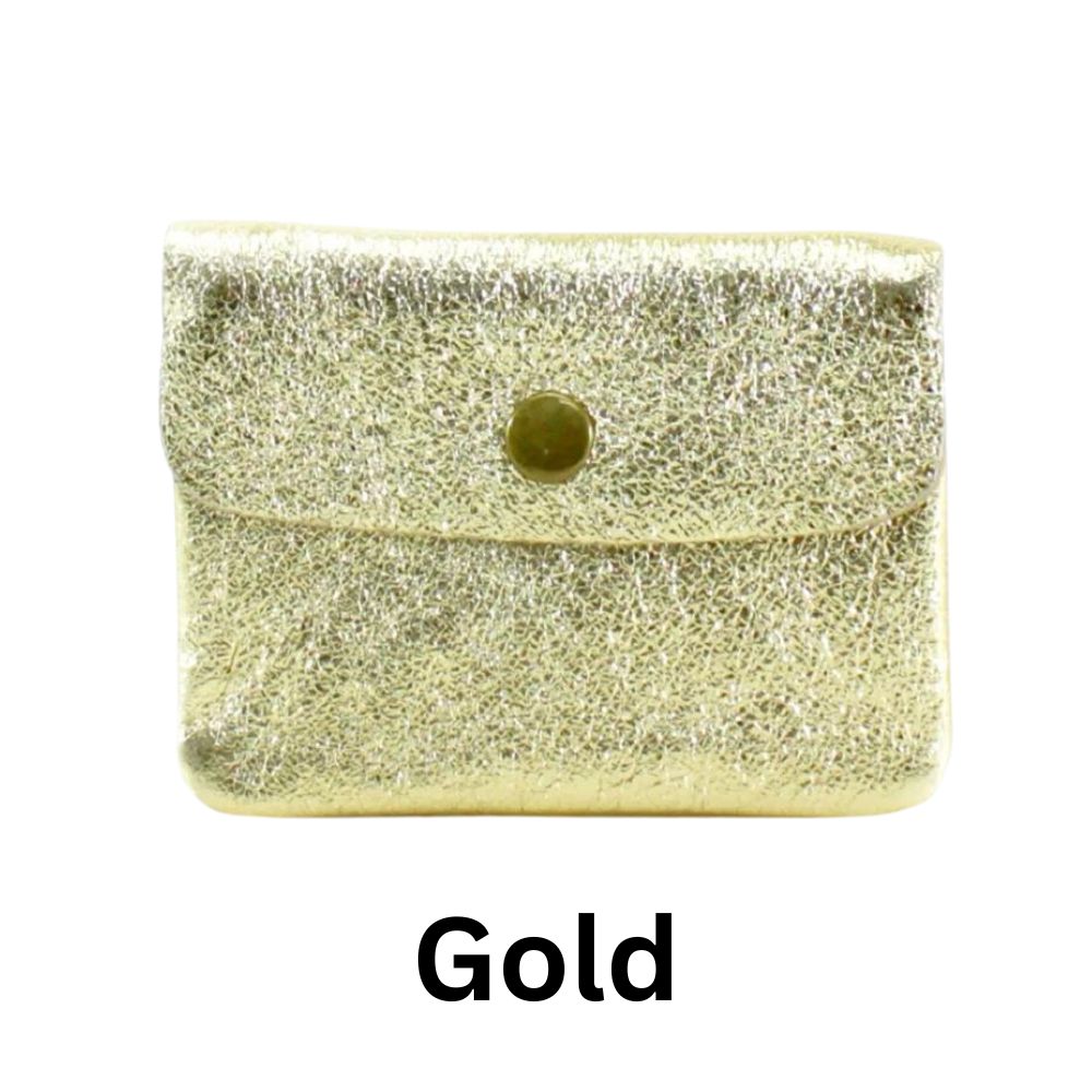 Small Metallic Leather Purse