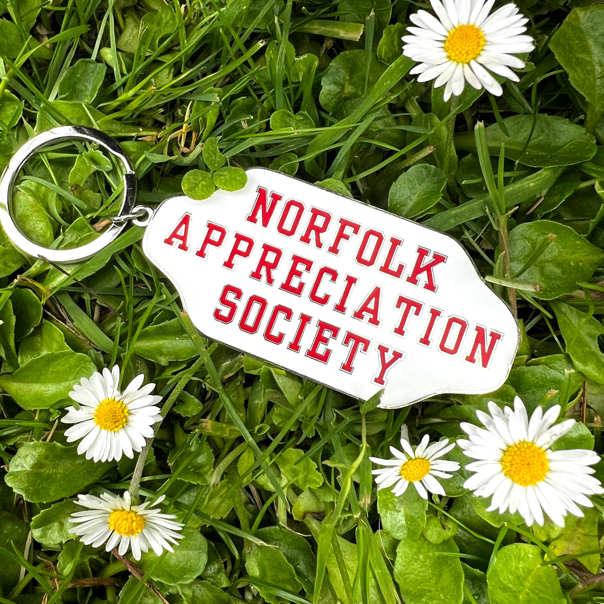 An enamel red and white  keyring with 'NORFOLK APPRECIATION SOCIETY' text on it, placed on a grassy surface with daisies around.